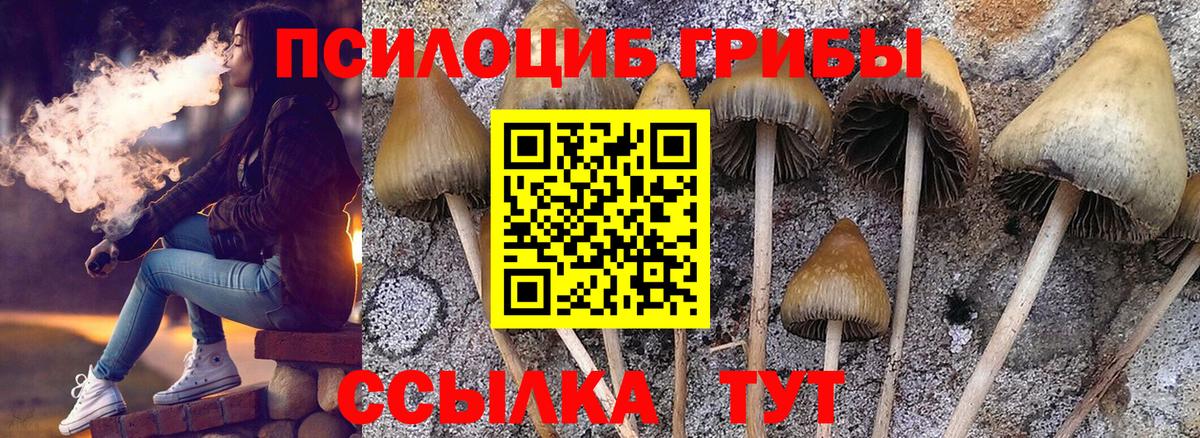 Псилоцибиновые грибы MAGIC MUSHROOMS  Вход с VPN  Ижевск  Псилоцибиновые грибы GOLDEN TEACHER 